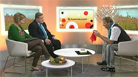 MTV 3 esiintyminen